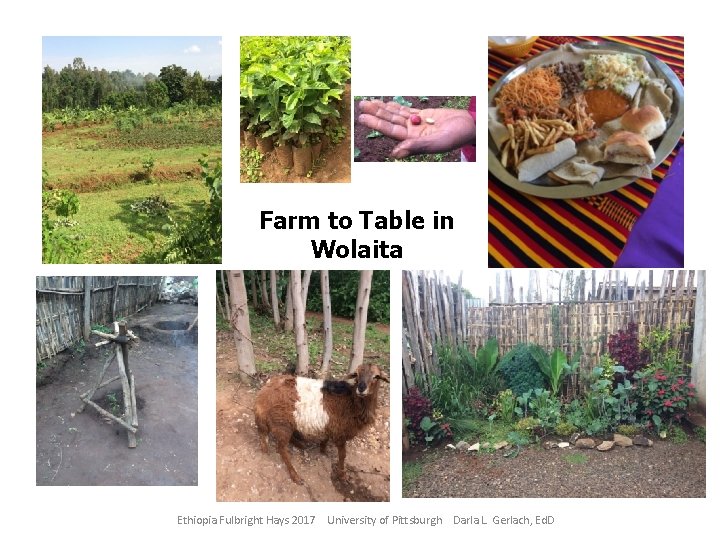 Farm to Table in Wolaita Ethiopia Fulbright Hays 2017 University of Pittsburgh Darla L.