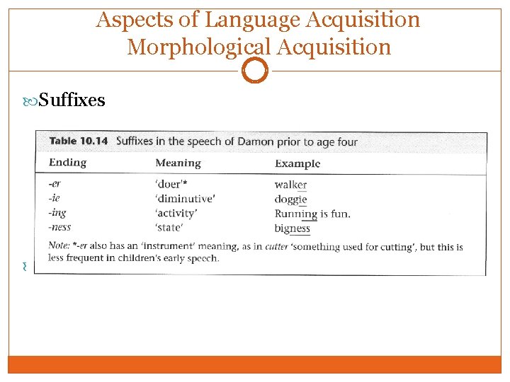 Aspects of Language Acquisition Morphological Acquisition Suffixes Example: Church kids 
