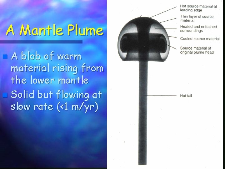 A Mantle Plume A blob of warm material rising from the lower mantle n