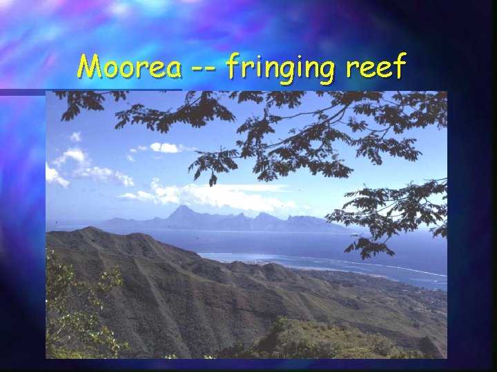 Moorea -- fringing reef 