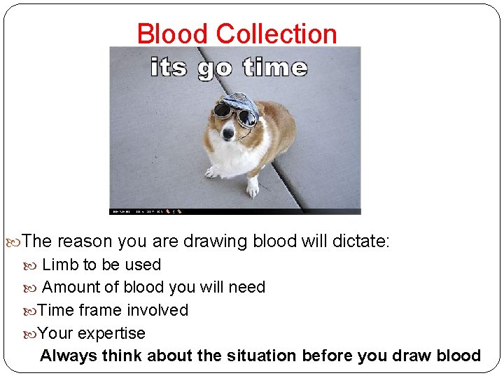 Blood Collection The reason you are drawing blood will dictate: Limb to be used