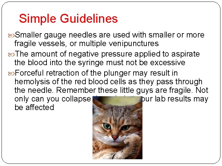 Simple Guidelines Smaller gauge needles are used with smaller or more fragile vessels, or