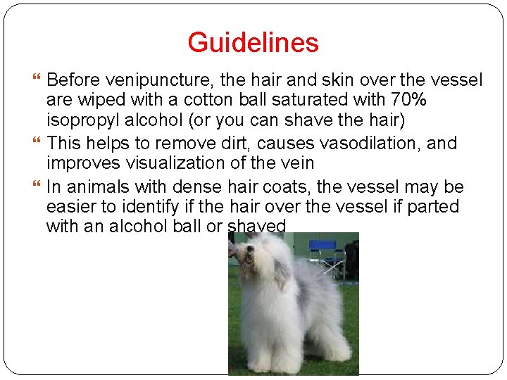 Guidelines Before venipuncture, the hair and skin over the vessel are wiped with a