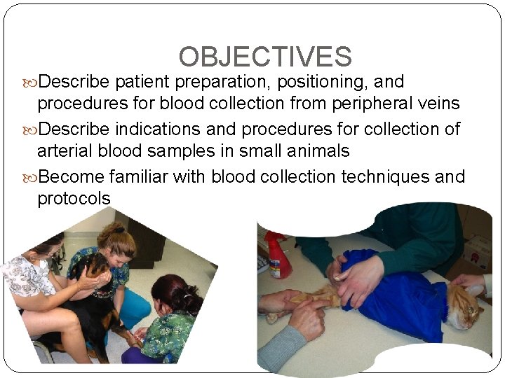 OBJECTIVES Describe patient preparation, positioning, and procedures for blood collection from peripheral veins Describe