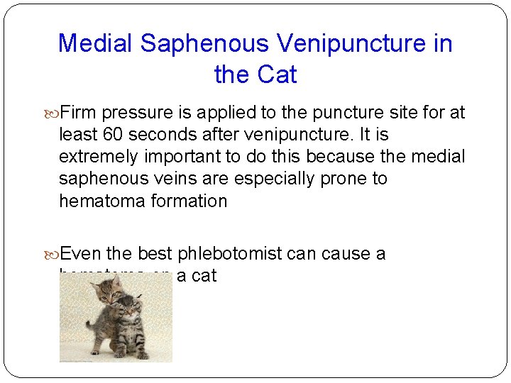 Medial Saphenous Venipuncture in the Cat Firm pressure is applied to the puncture site