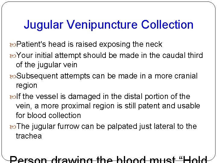 Jugular Venipuncture Collection Patient's head is raised exposing the neck Your initial attempt should