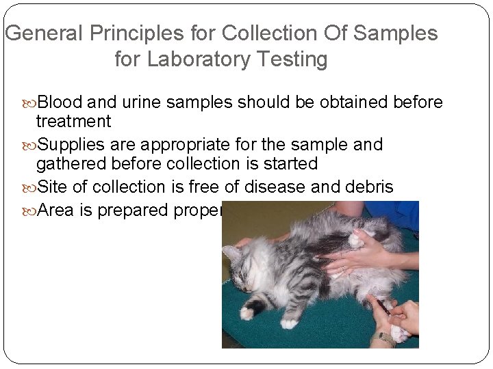 General Principles for Collection Of Samples for Laboratory Testing Blood and urine samples should