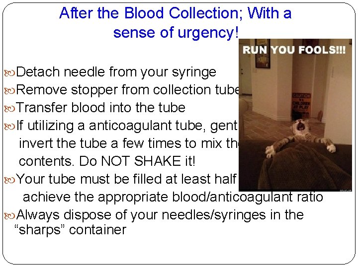 After the Blood Collection; With a sense of urgency! Detach needle from your syringe