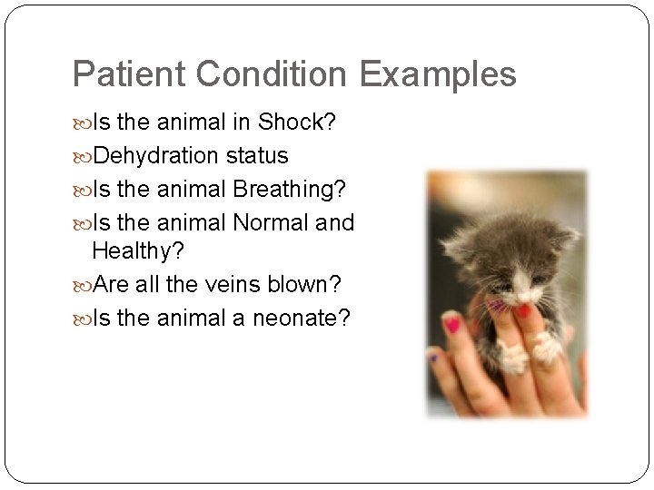 Patient Condition Examples Is the animal in Shock? Dehydration status Is the animal Breathing?