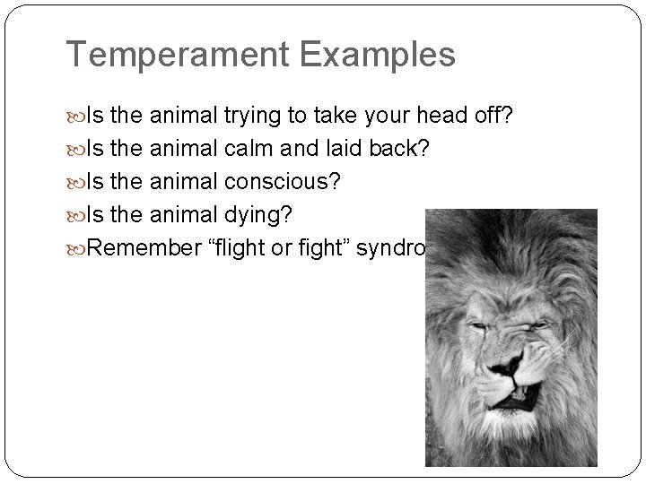 Temperament Examples Is the animal trying to take your head off? Is the animal