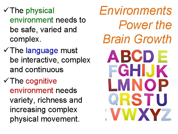 ü The physical environment needs to be safe, varied and complex. ü The language