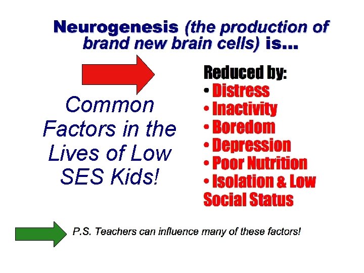 Common Factors in the Lives of Low SES Kids! 