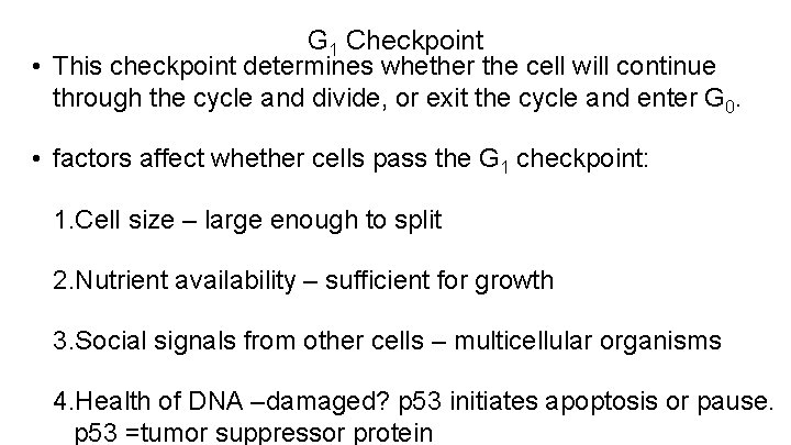 G 1 Checkpoint • This checkpoint determines whether the cell will continue through the