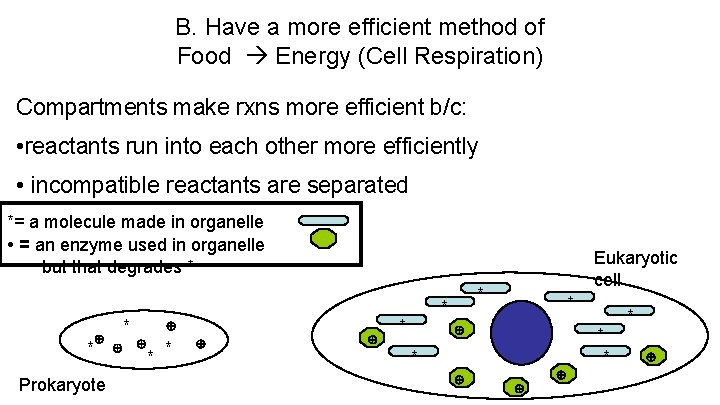 B. Have a more efficient method of Food Energy (Cell Respiration) Compartments make rxns