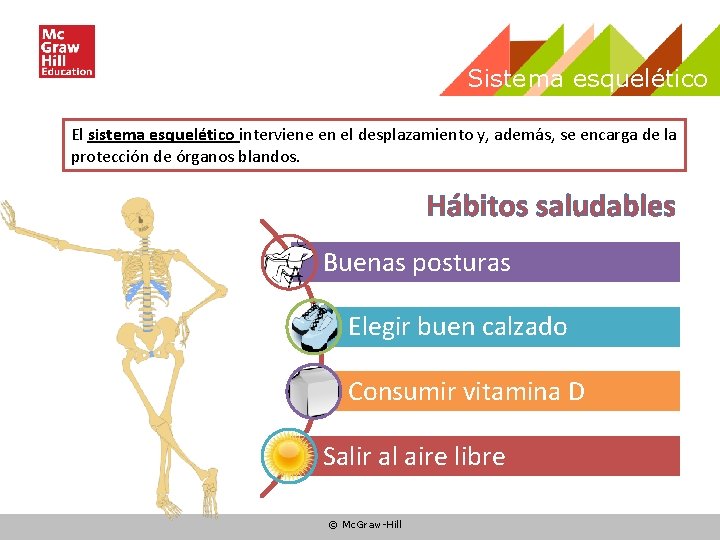 Sistema esquelético El sistema esquelético interviene en el desplazamiento y, además, se encarga de Sistema esquelético El sistema esquelético interviene en el desplazamiento y, además, se encarga de