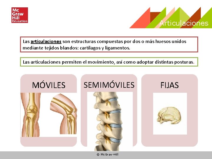 Articulaciones Las articulaciones son estructuras compuestas por dos o más huesos unidos mediante tejidos Articulaciones Las articulaciones son estructuras compuestas por dos o más huesos unidos mediante tejidos