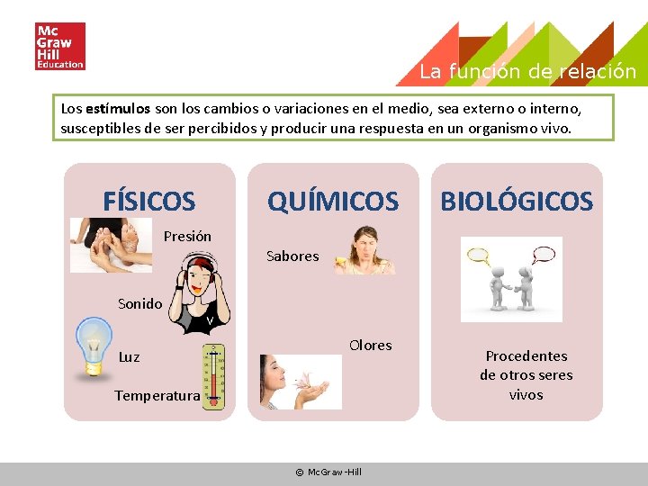 La función de relación Los estímulos son los cambios o variaciones en el medio, La función de relación Los estímulos son los cambios o variaciones en el medio,