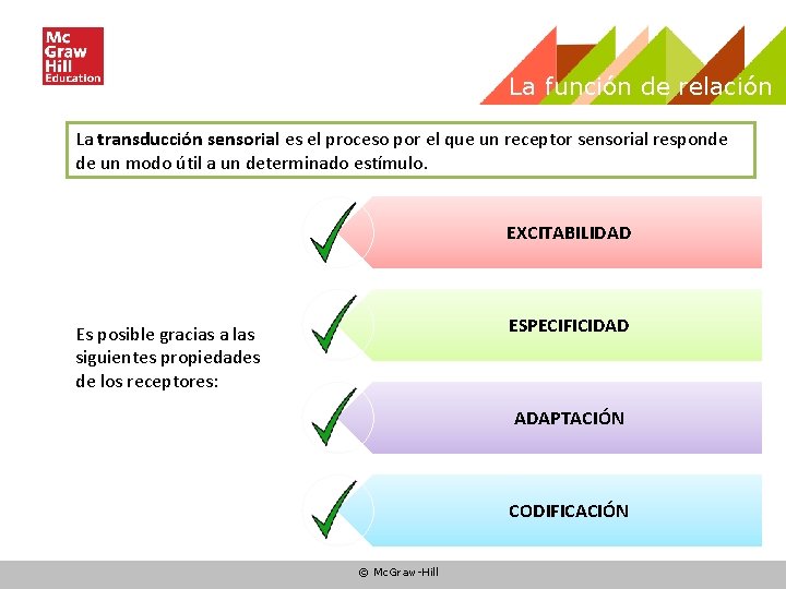 La función de relación La transducción sensorial es el proceso por el que un La función de relación La transducción sensorial es el proceso por el que un