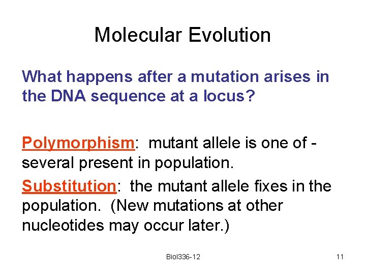 Molecular Evolution What happens after a mutation arises in the DNA sequence at a