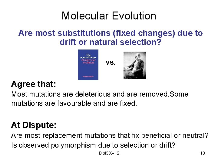 Molecular Evolution Are most substitutions (fixed changes) due to drift or natural selection? vs.
