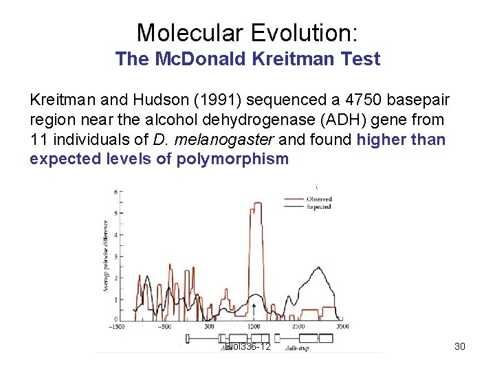 Molecular Evolution: The Mc. Donald Kreitman Test Kreitman and Hudson (1991) sequenced a 4750