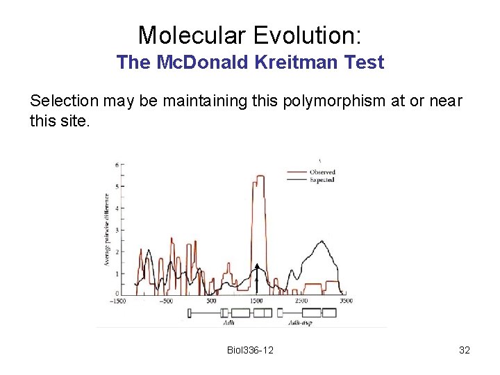 Molecular Evolution: The Mc. Donald Kreitman Test Selection may be maintaining this polymorphism at