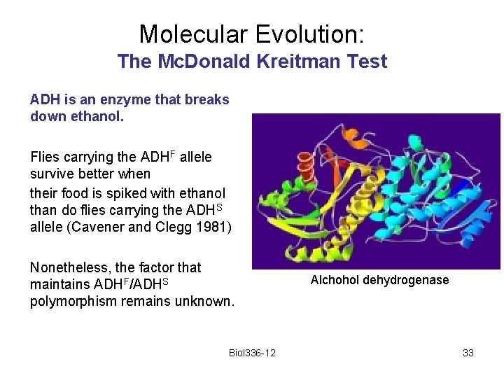 Molecular Evolution: The Mc. Donald Kreitman Test ADH is an enzyme that breaks down