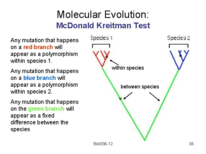 Molecular Evolution: Mc. Donald Kreitman Test Any mutation that happens on a red branch