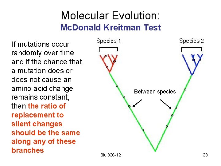 Molecular Evolution: Mc. Donald Kreitman Test If mutations occur randomly over time and if