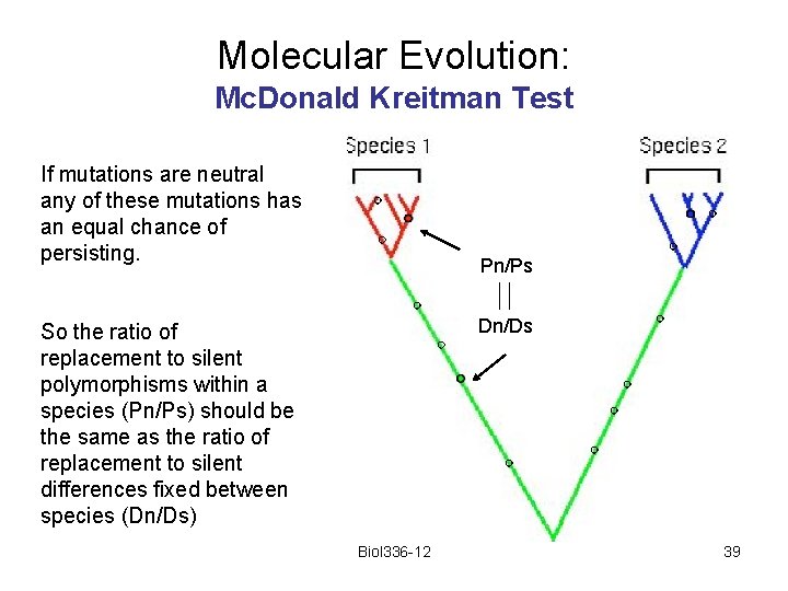 Molecular Evolution: Mc. Donald Kreitman Test If mutations are neutral any of these mutations