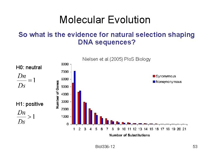 Molecular Evolution So what is the evidence for natural selection shaping DNA sequences? Nielsen