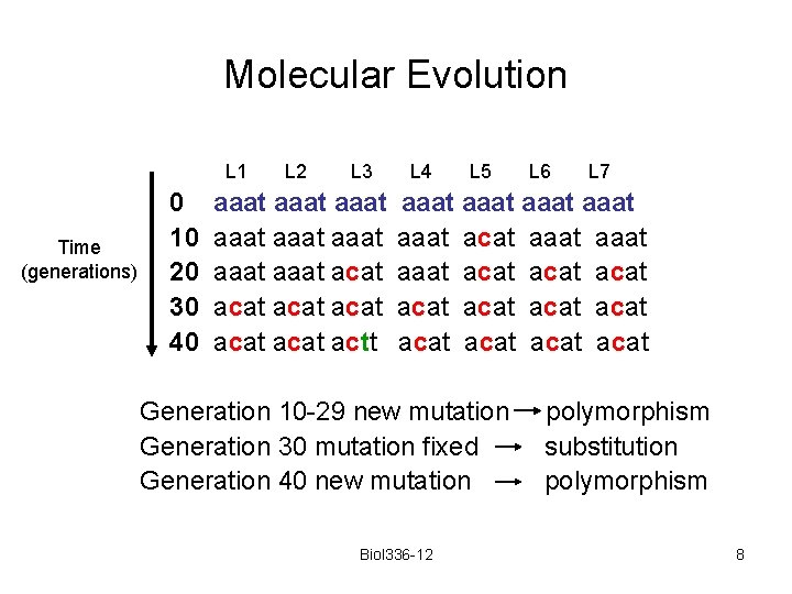 Molecular Evolution L 1 Time (generations) 0 10 20 30 40 L 2 L