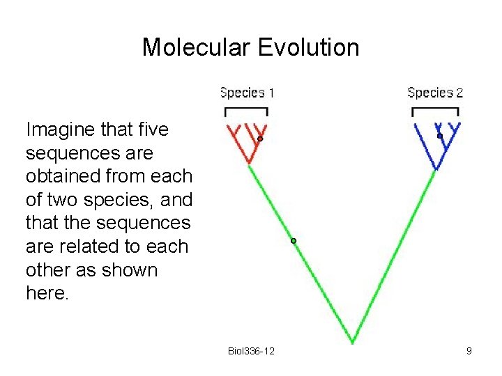 Molecular Evolution Imagine that five sequences are obtained from each of two species, and
