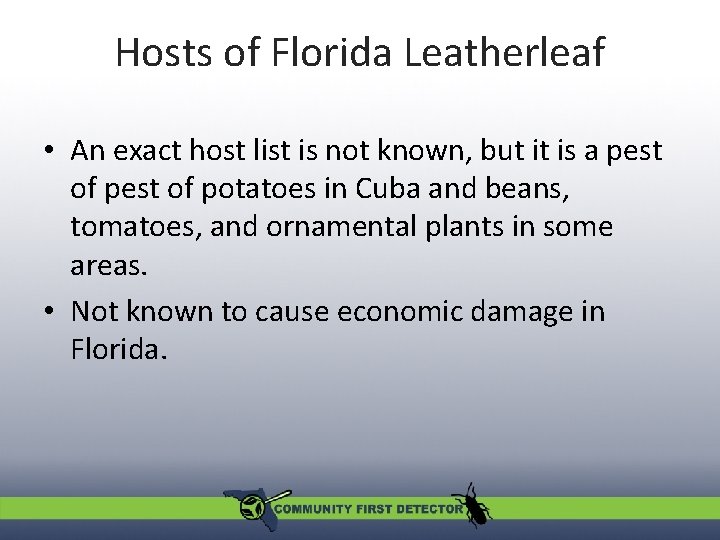 Hosts of Florida Leatherleaf • An exact host list is not known, but it