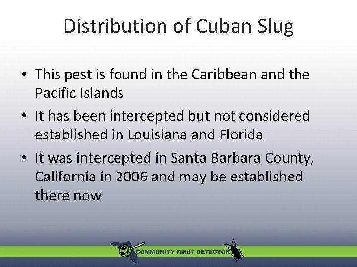 Distribution of Cuban Slug • This pest is found in the Caribbean and the