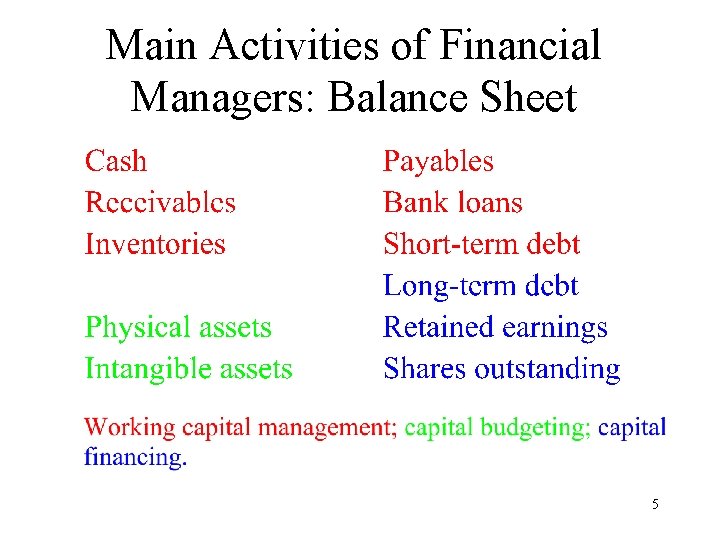 Main Activities of Financial Managers: Balance Sheet 5 