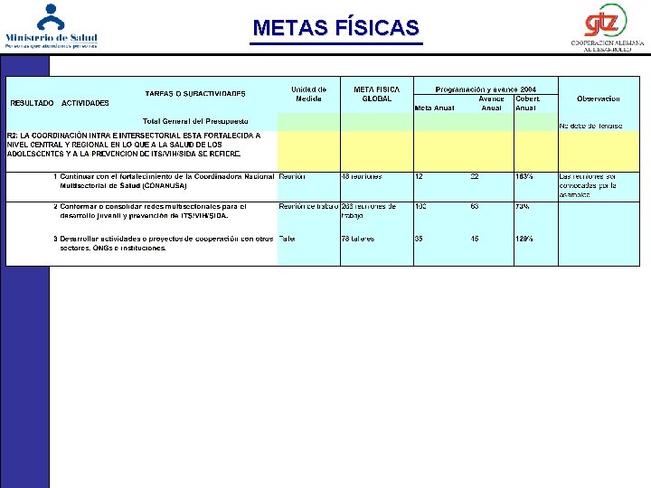 METAS FÍSICAS 