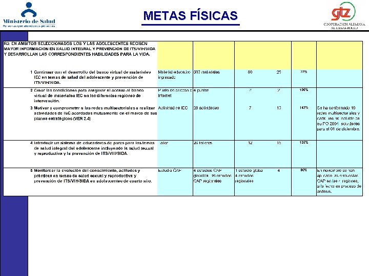 METAS FÍSICAS 