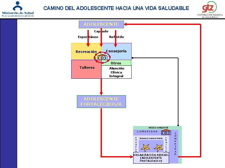 CAMINO DEL ADOLESCENTE HACIA UNA VIDA SALUDABLE ADOLESCENTE Captado Espontáneo Recreación Referido Consejería CDJ