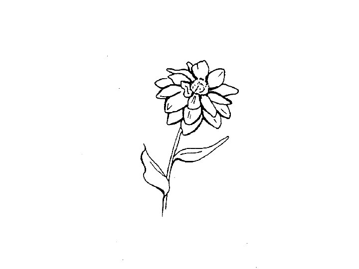 © 1996 AEHNMoss Rehabilitation Research Institute 