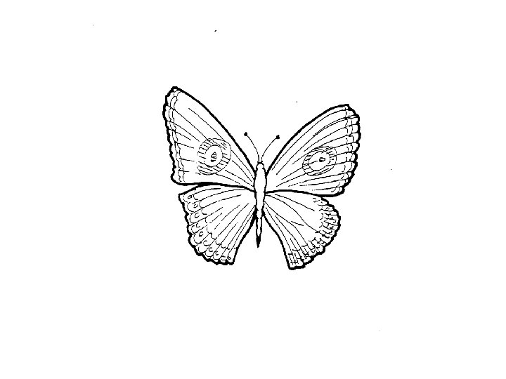 © 1996 AEHNMoss Rehabilitation Research Institute 