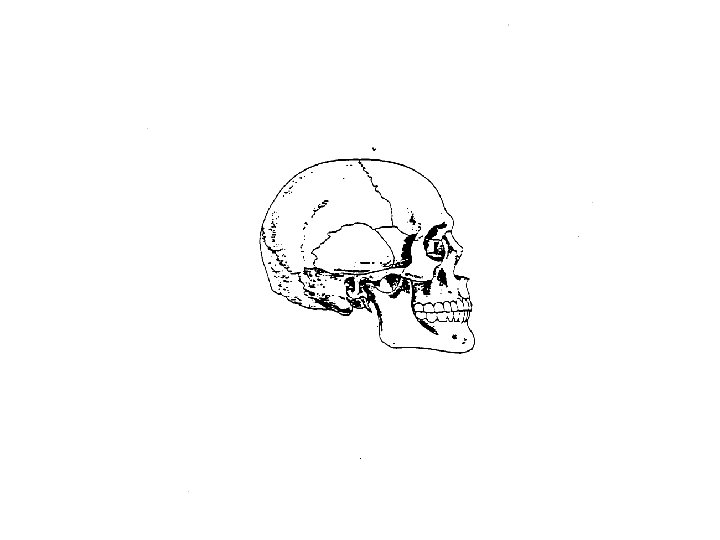 © 1996 AEHNMoss Rehabilitation Research Institute 