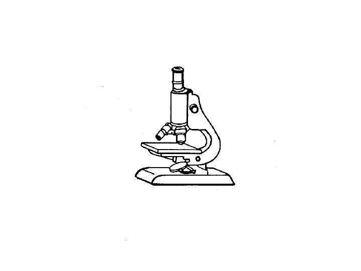 © 1996 AEHNMoss Rehabilitation Research Institute 