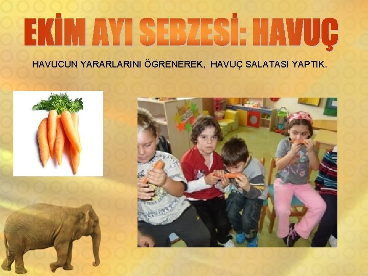 HAVUCUN YARARLARINI ÖĞRENEREK, HAVUÇ SALATASI YAPTIK. 