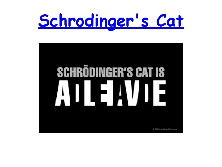Schrodinger's Cat Schrodinger's Cat