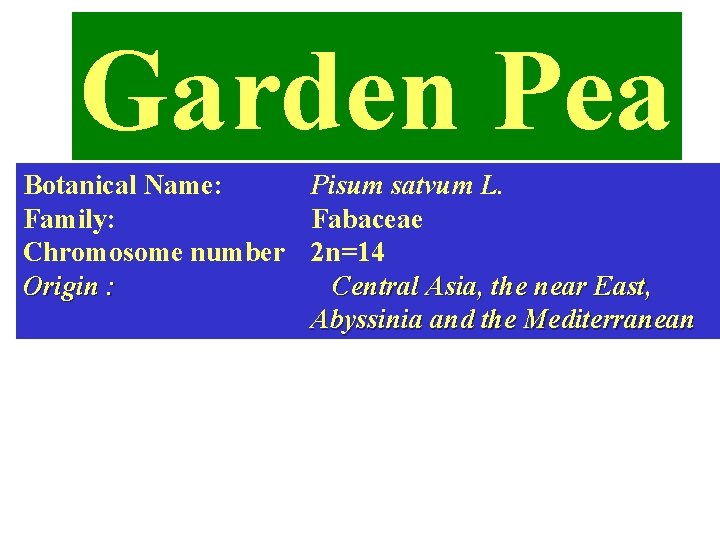 Garden Pea Botanical Name: Pisum satvum L. Family: Fabaceae Chromosome number 2 n=14 Origin