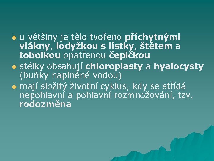 u většiny je tělo tvořeno příchytnými vlákny, lodyžkou s lístky, štětem a tobolkou opatřenou