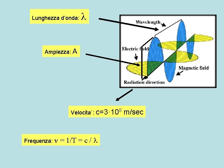 Lunghezza d’onda: Ampiezza: A Velocita`: c=3· 108 Frequenza: = 1/T = c / m/sec