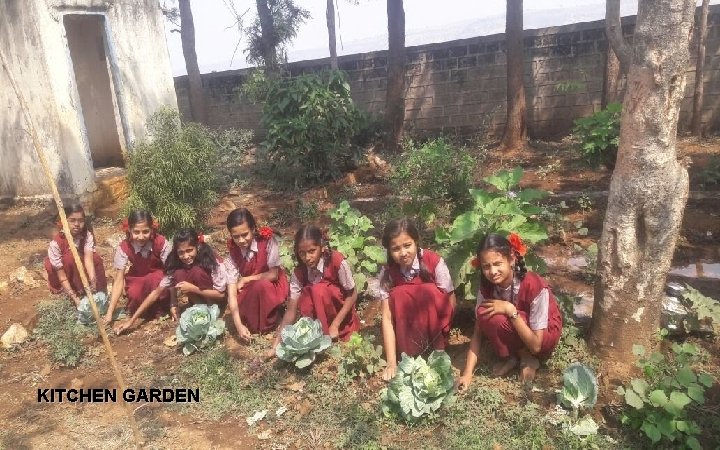 KITCHEN GARDEN 
