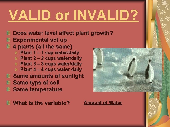 VALID or INVALID? Does water level affect plant growth? Experimental set up 4 plants